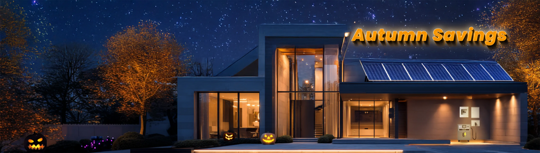 Be Ready for Winter Outages: Why Autumn Is the Best Time to Buy a Walrus Home Generator
